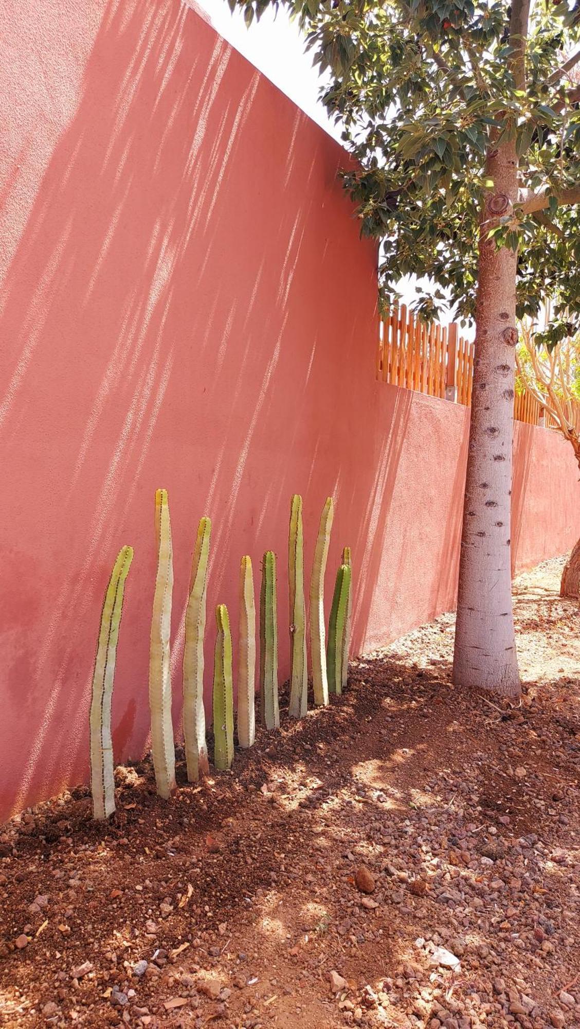 Adosado La Tabaiba Villa San Miguel de Abona Buitenkant foto